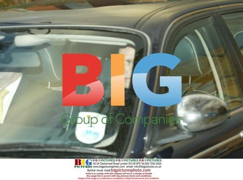 Celebs Pose on Red Carpet