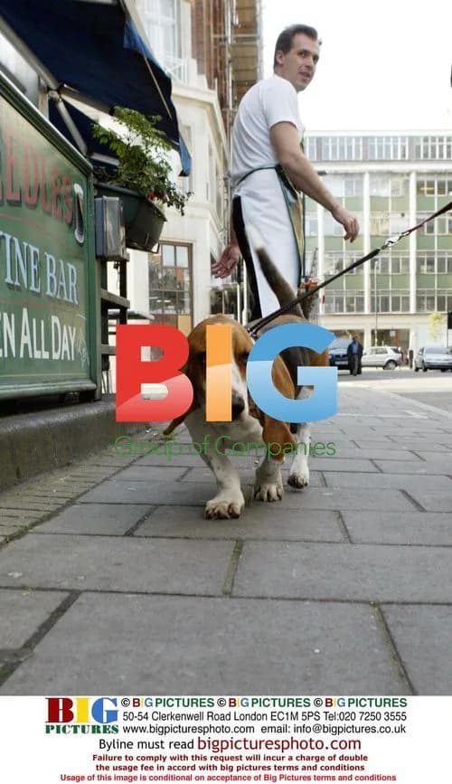 Sara Cox and her dog Snoop leaving BBC Radio One