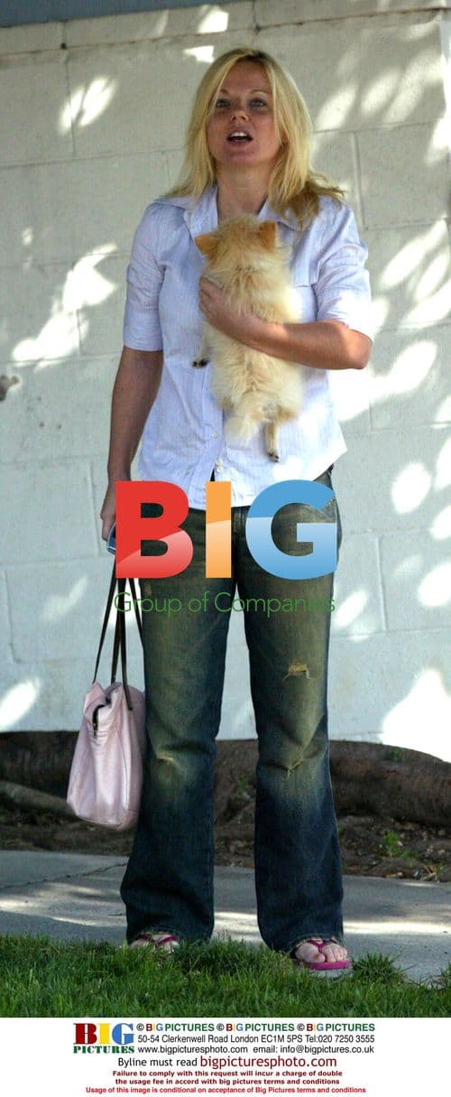 Geri Halliwell Out with Puppy in Hollywood
