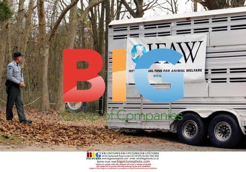 Tigers Removed from Preservation Society