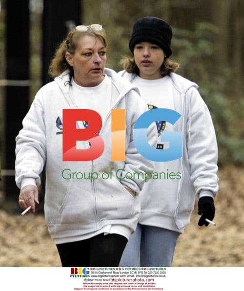 Tigers Rescued from Preservation Society