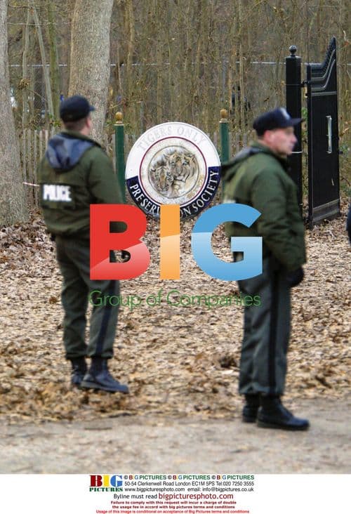 Tigers Removed from Preservation Society in NJ