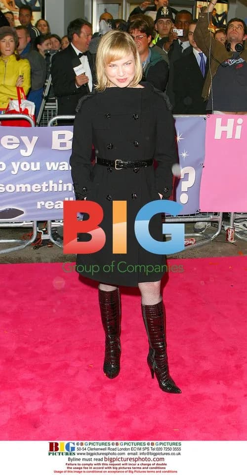 Renee Zellweger at 'Down With Love' Premiere