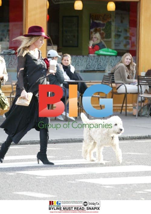 Liam Hemsworth at Sydney Film Festival