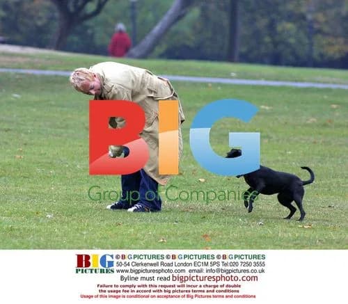 Julian Clary relaxes with dog Valerie in park