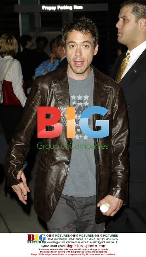 Robert Downey Jr. at Hollywood Film Festival