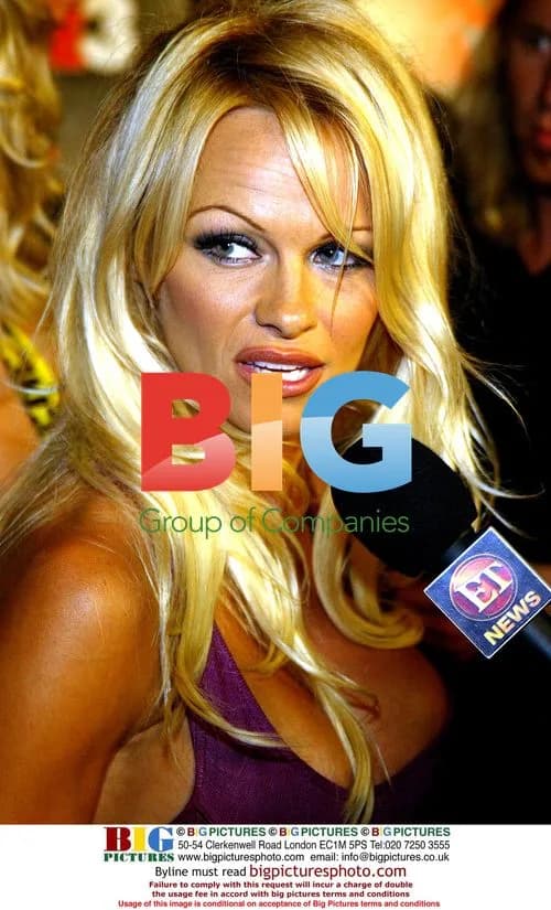Pamela Anderson at 'Scary Movie 3' Premiere