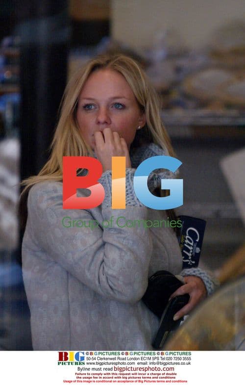 Emma Bunton grocery shopping in North London