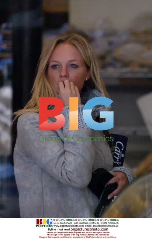 Emma Bunton grocery shopping in North London