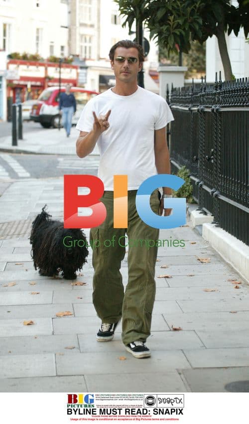 Gwen Stefani and Gavin Rossdale in North London