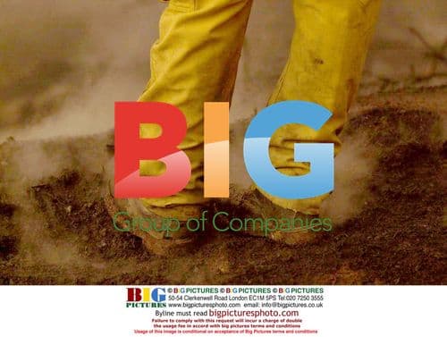 Laverne Cox makes red carpet appearance