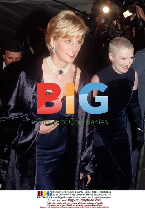Lady Diana Spencer at Costume Institute Gala