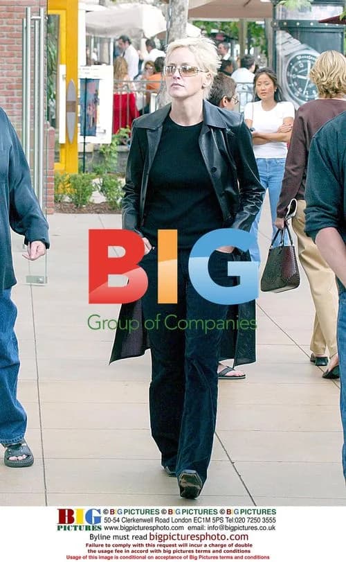 Sharon Stone Out Shopping with Friend
