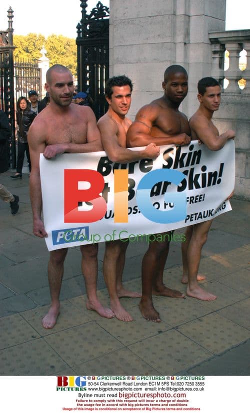 PETA Protesters Bare All Against Bear Fur Hats
