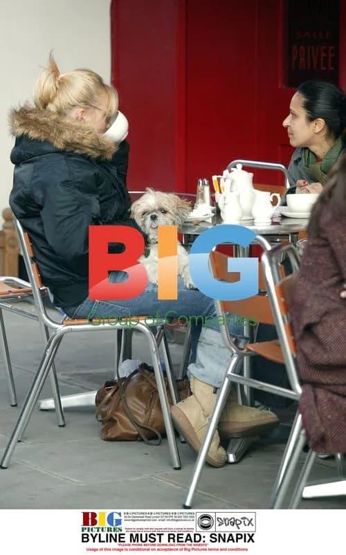 Geri Halliwell and dog Harry out for drinks