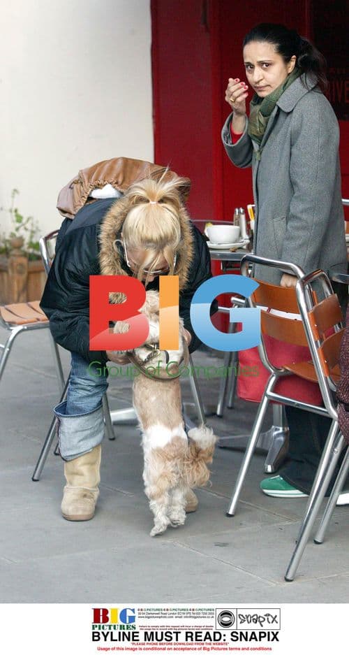 Geri Halliwell out with dog Harry