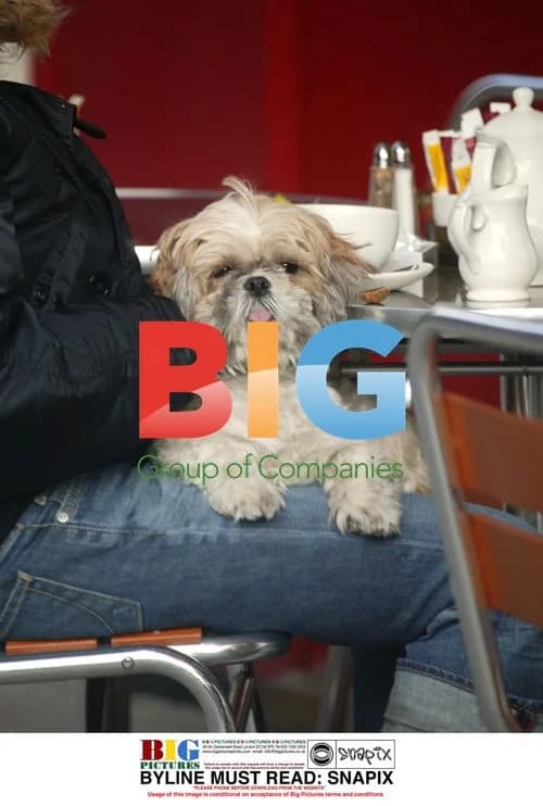 Geri Halliwell Out with Her Dog