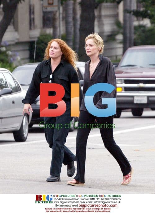 Sharon Stone Witnesses Car Accident