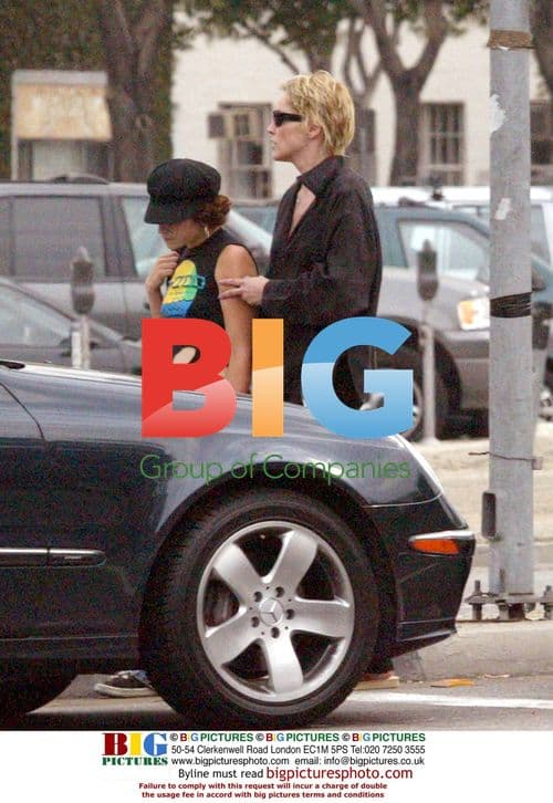 Sharon Stone Witnesses Car Accident