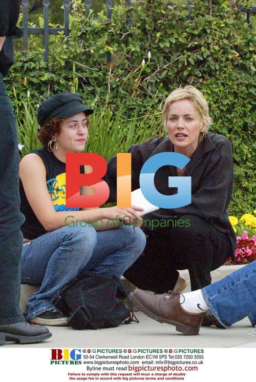 Sharon Stone Witnesses Car Accident in Beverly Hills