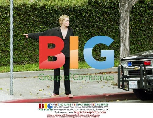 Sharon Stone Aids in Beverly Hills Car Accident