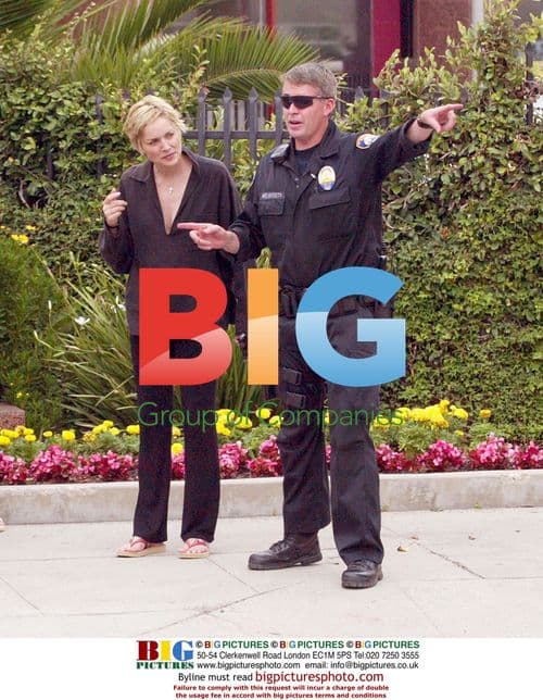 Sharon Stone Helps at Accident