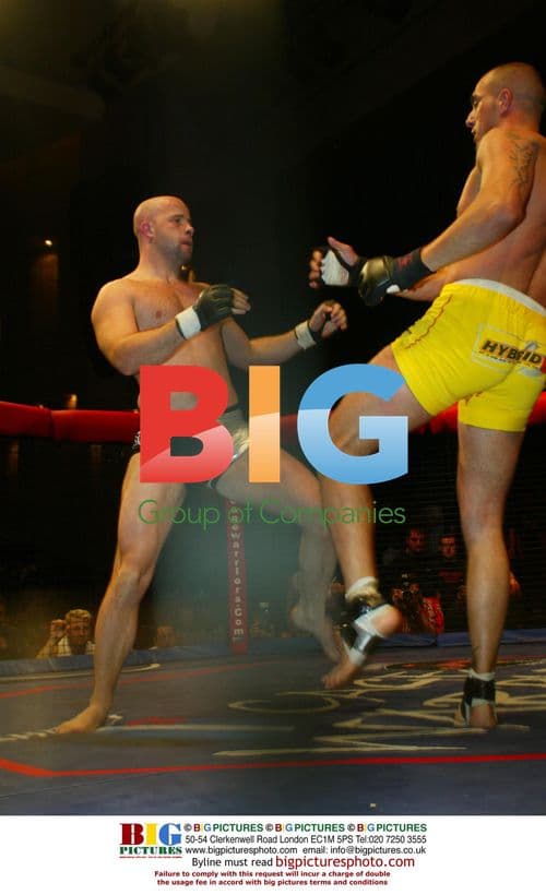 David James Takes Girlfriend to Cage Fighting Event