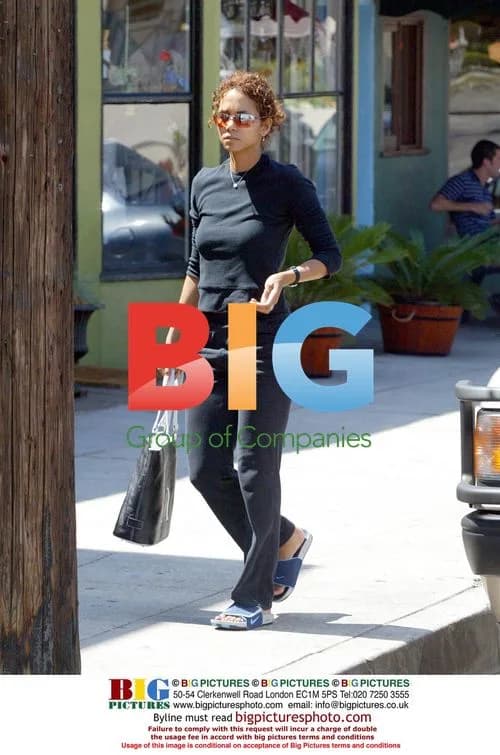 Halle Berry Forgets Bag at Lunch