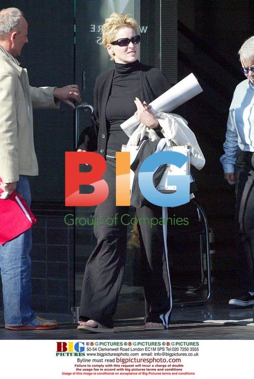 Sharon Stone drops papers in Beverly Hills