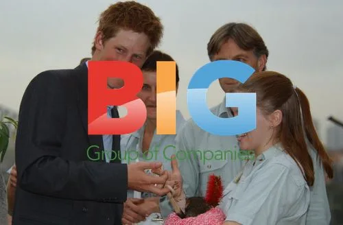 Prince Harry at Taronga Zoo