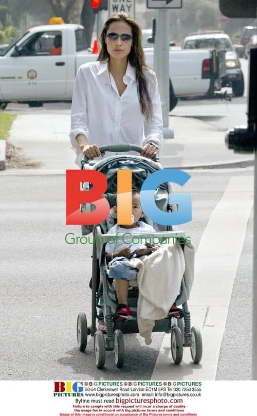 Angelina Jolie Shopping with Son Maddox