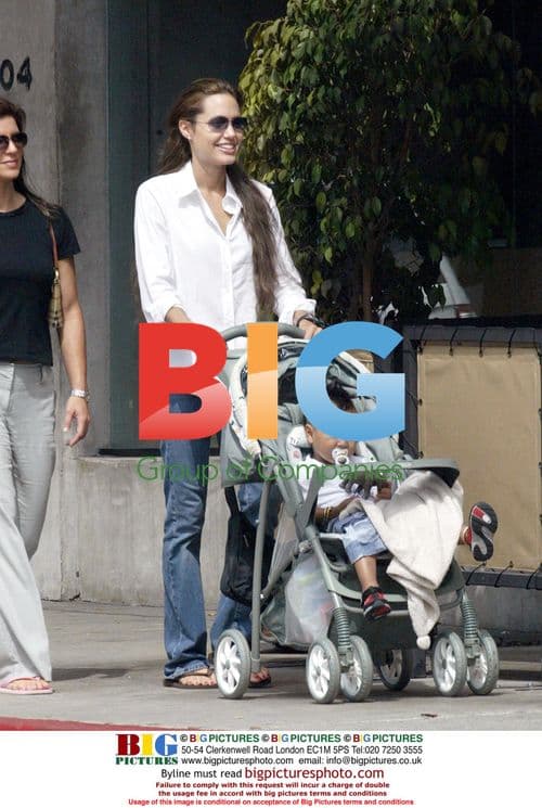 Angelina Jolie and son Maddox shopping
