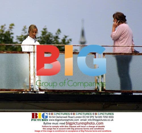 Emily Watson at High-Profile Event