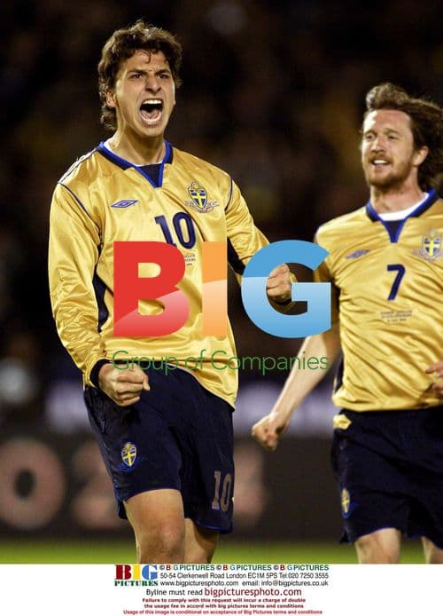 Zlatan Ibrahimovic scores for Sweden