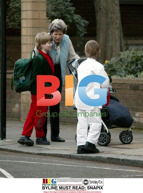 Taylor Brothers and Baby Sister in London