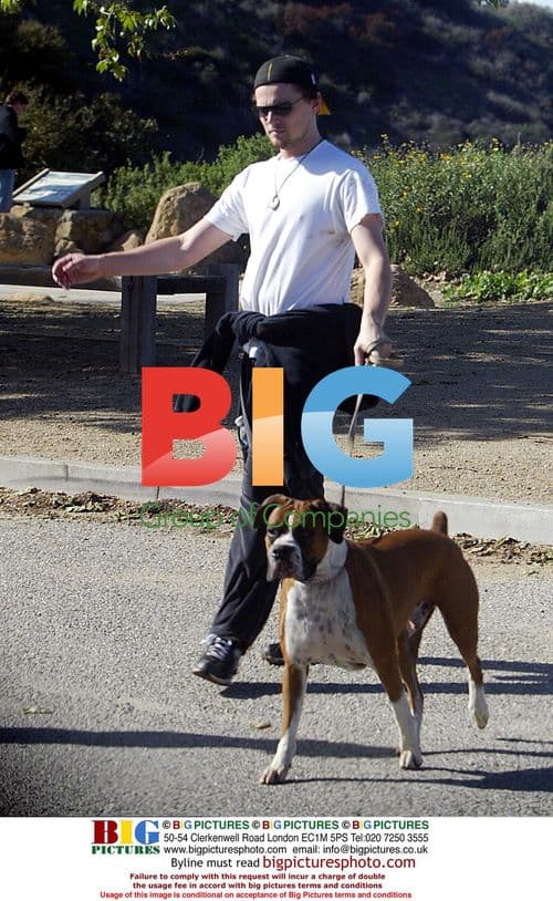 Leo & Gisele Enjoy Park Day with Dogs