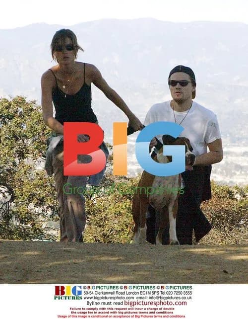 Leonardo DiCaprio and Gisele Bundchen Enjoy Park Outing