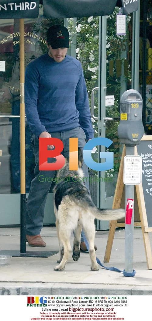 Kirsten Dunst and Jake Gyllenhaal with Dog
