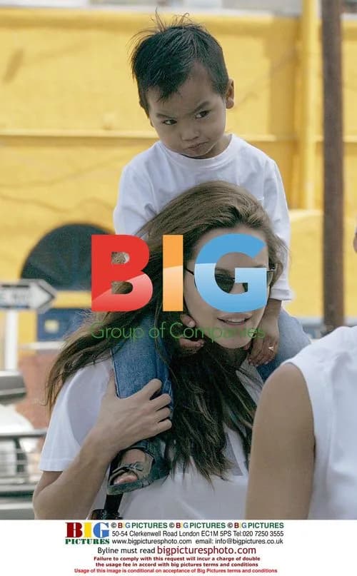 Angelina Jolie at Farmer's Market