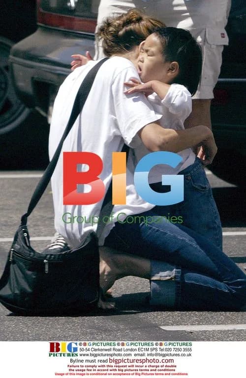 Angelina Jolie at Farmer's Market