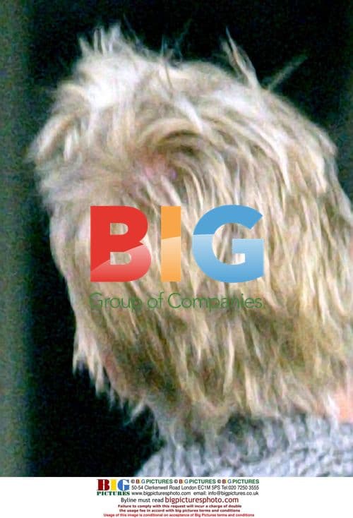 Sharon Stone Out in Brentwood