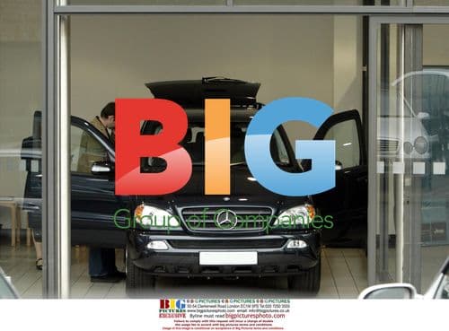 Ulrika Jonsson and husband buying new car