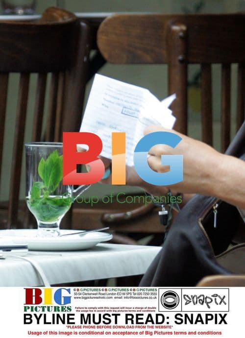 Meg Matthews Enjoys Mint Tea with Friends