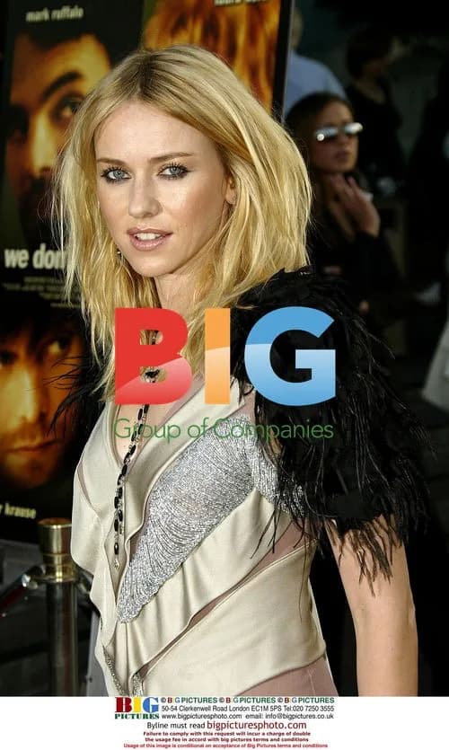 Naomi Watts at 'We Don't Live Here Anymore' Premiere