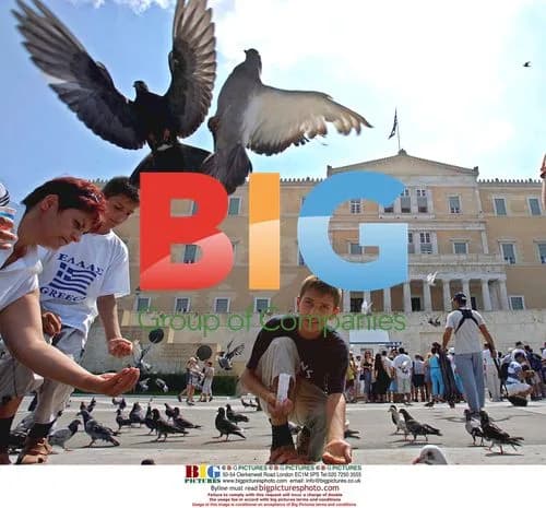 Athens Pigeons Before Olympics