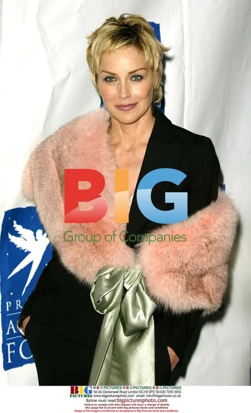 Sharon Stone at Angel Awards