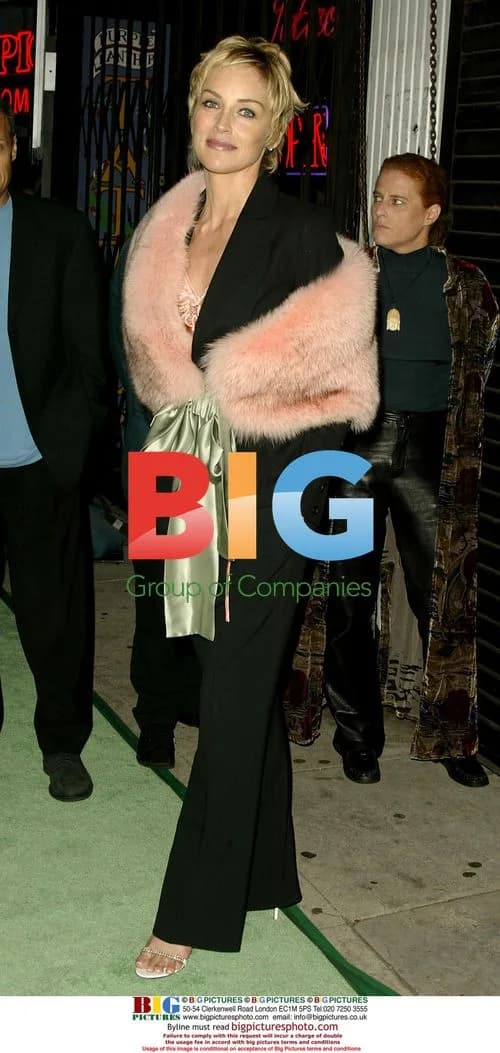 Sharon Stone at Project Angel Food's 11th Annual Angel Awards
