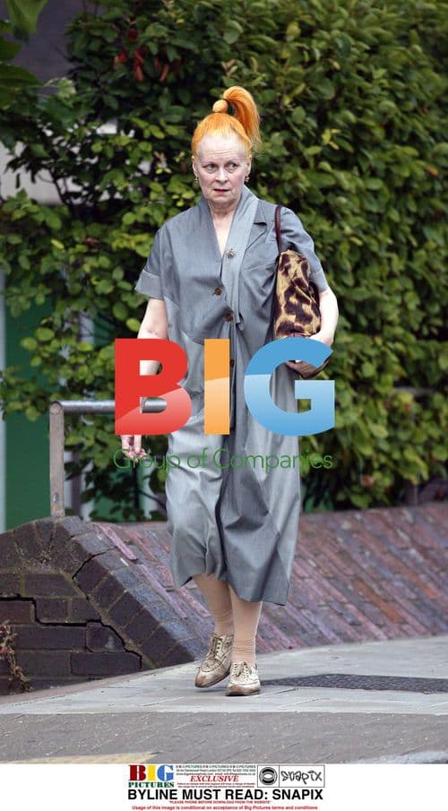 Fashion Designer Vivienne Westwood Out in North London