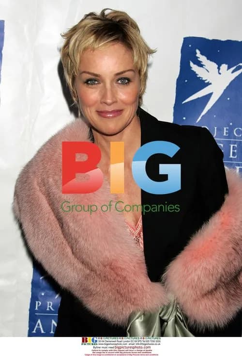 Sharon Stone at Project Angel Food Awards