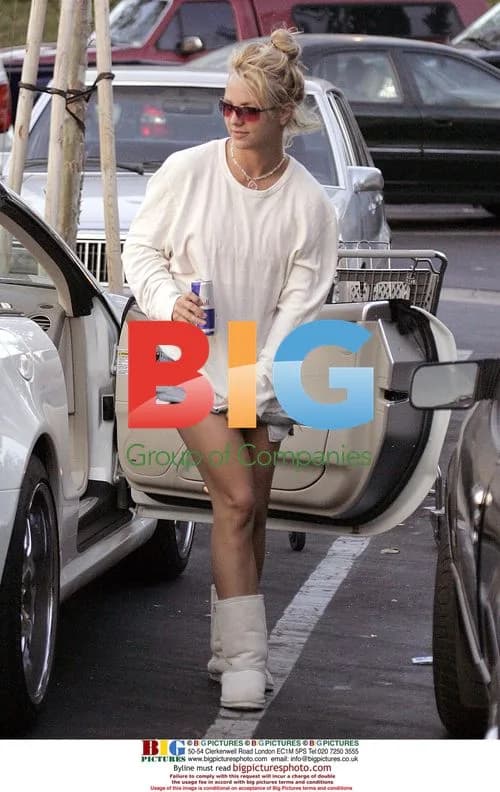 Britney Spears and Kevin Federline Shopping in Malibu